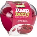 Berry Colander Pod by Joie - wash, strain, serve and store (Raspberry)