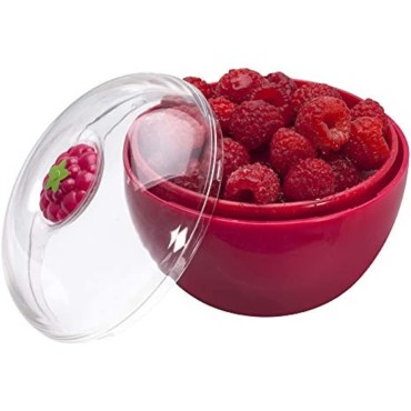 Berry Colander Pod by Joie - wash, strain, serve and store (Raspberry)