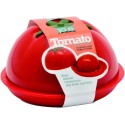 Clear Cover Avocado Pod, Green. Joie MSC International 